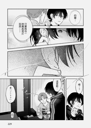 第231頁圖