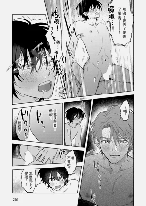 第265頁圖