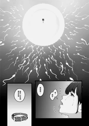 第41頁圖