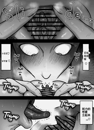 第24頁圖