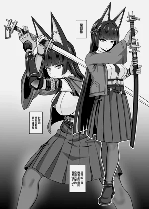 第2页图