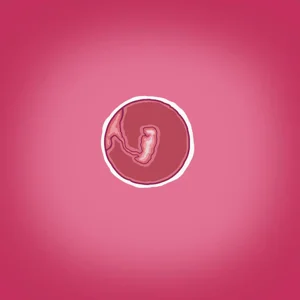 第35頁圖