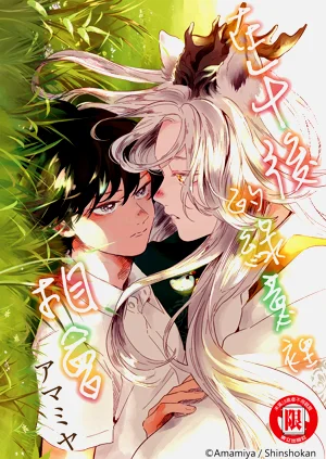 第141頁圖