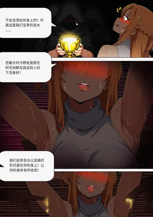第285页图