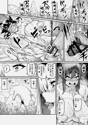 第223頁圖