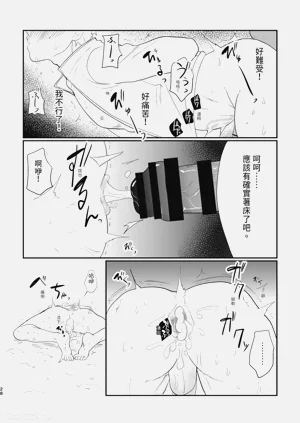 第28頁圖