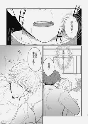 第33页图