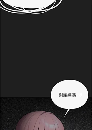 第411頁圖
