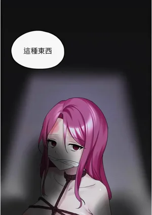 第456頁圖