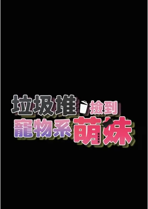 第46頁圖