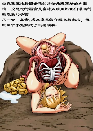 第17页图