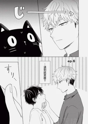 第117页图