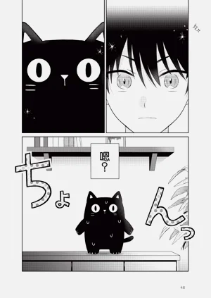 第48页图