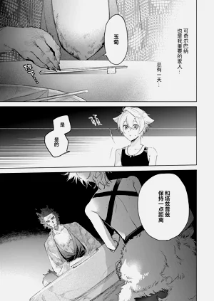 第113頁圖