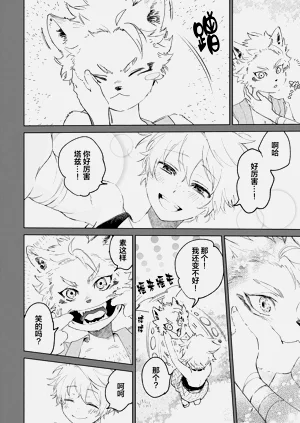 第26頁圖