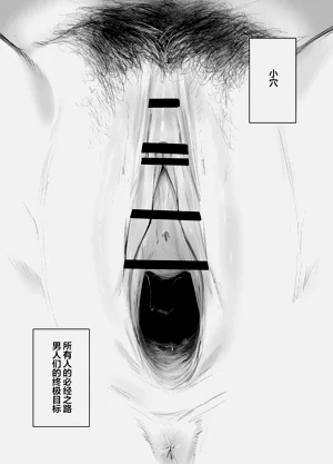 第2页图