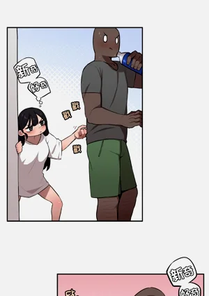 第339頁圖