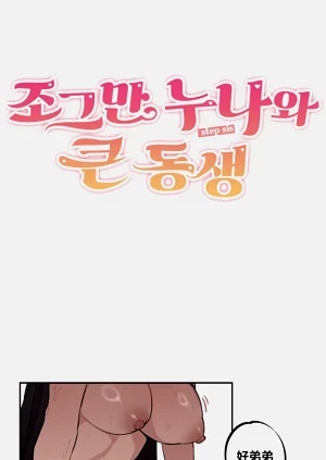 第381頁圖