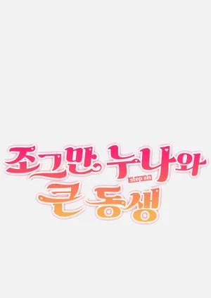 第511頁圖