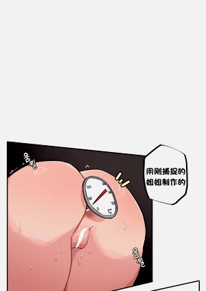第581頁圖