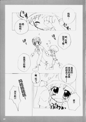 第29頁圖