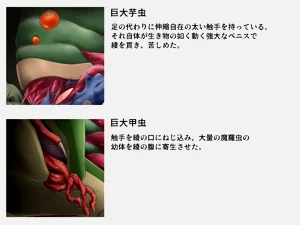 第98頁圖