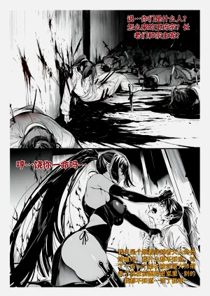 第278頁圖