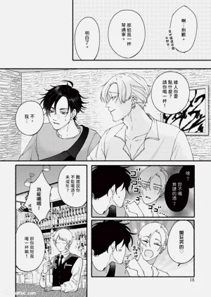 第17頁圖