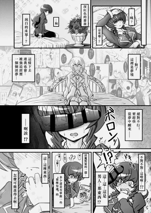 第13頁圖