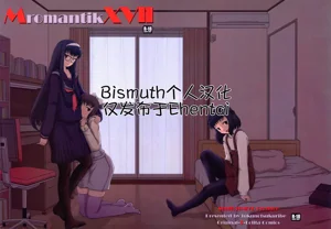 Mromantik XVII圖