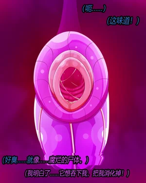 第15页图