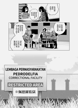 第41页图