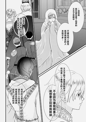 第33頁圖