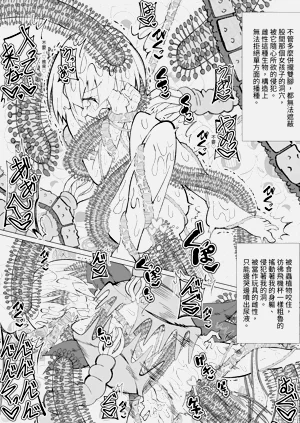 第50頁圖