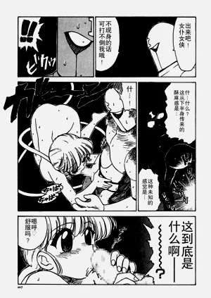 第207頁圖