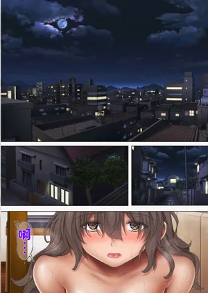 第213頁圖
