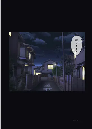 第223頁圖