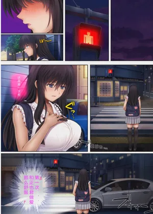 第311頁圖