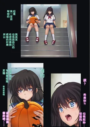 第333頁圖