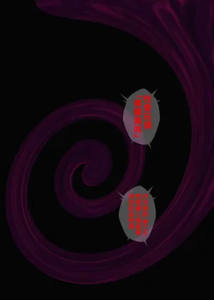 第579頁圖