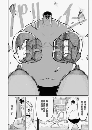 第342頁圖