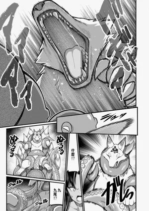 第409頁圖