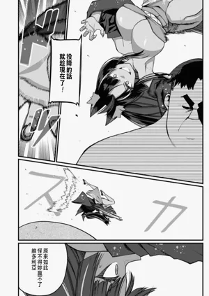 第411頁圖