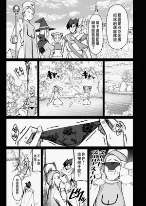 第529頁圖