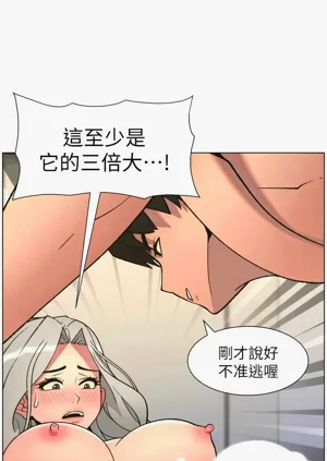 第41頁圖