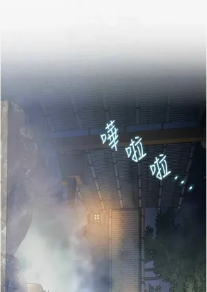第306頁圖