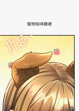 第515頁圖