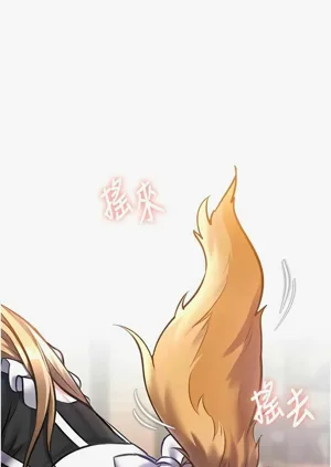 第557頁圖