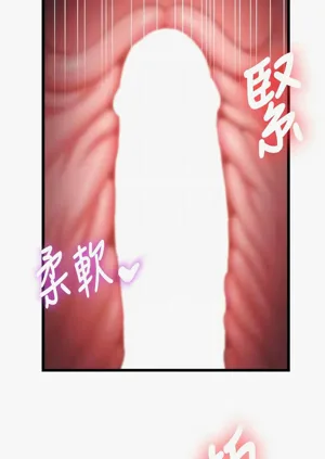 第738頁圖