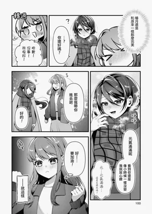 第100页图